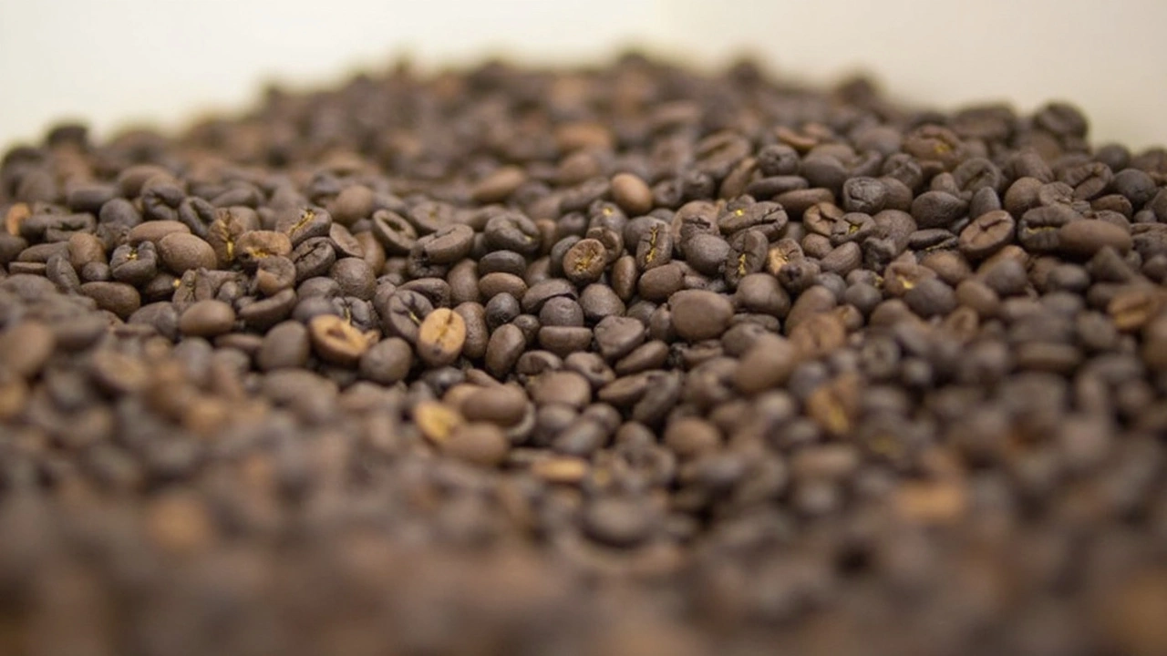 Anvisa proíbe três marcas de 'café fake' contaminadas com toxina e impurezas